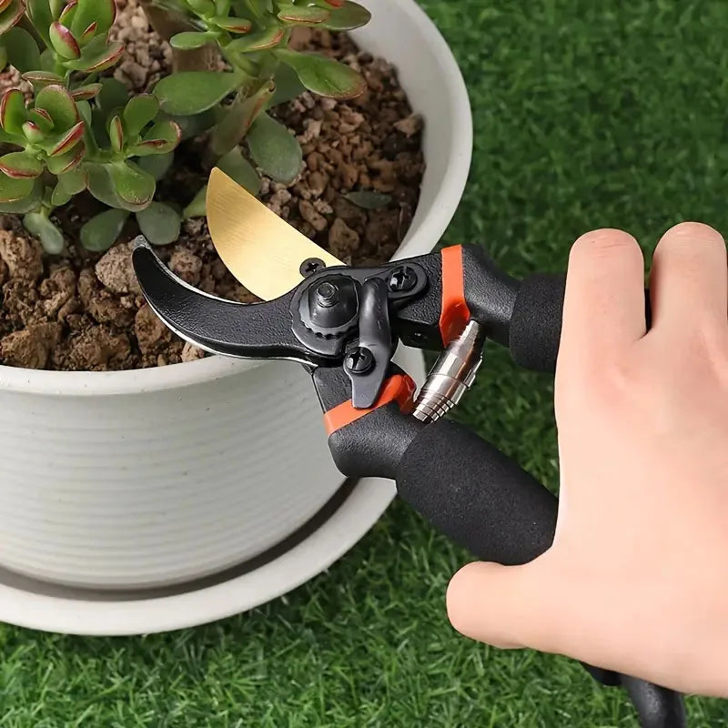 Garden Pruning